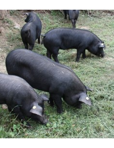 SAUCISSON IBERIQUE 2